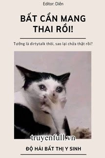 Bất Cẩn Mang Thai Rồi