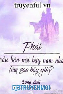 Nhất Định Phải Cầu Hôn Bảy Vị Nam Nhân, Làm Sao Giờ!